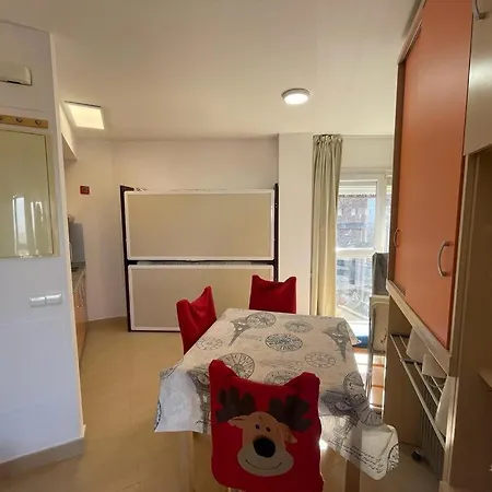 公寓 Miramar Elite Con Parking 塞拉内华达