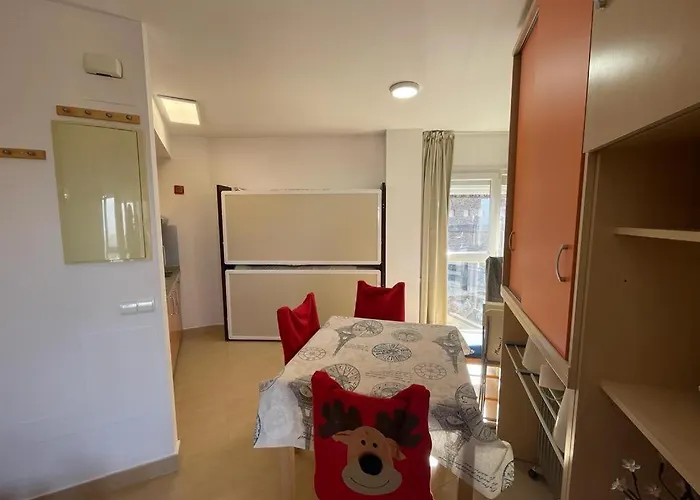 公寓 Miramar Elite Con Parking 塞拉内华达